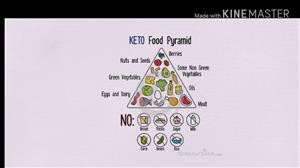 Keto Diet Plan for Beginners Free Indian
